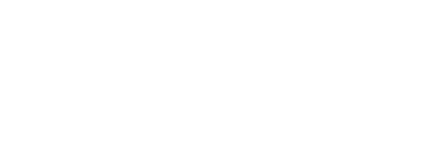 Valgo Connect